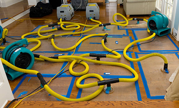 Professional Burst Pipe Water Damage technician working in Dale, TX